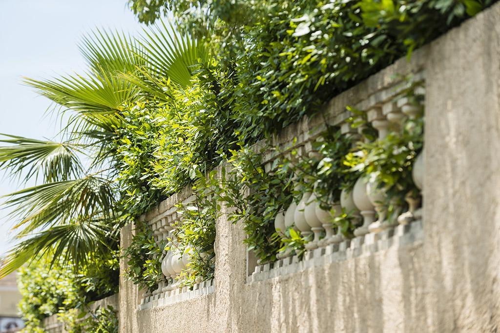 Les Jardins De La Mer Grimaud Exterior photo